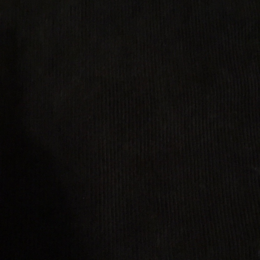 Brandy Melville Molly Corduroy Pants in Navy - Picture 2 of 6